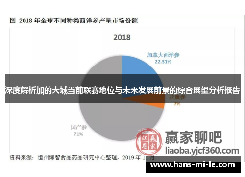 深度解析加的夫城当前联赛地位与未来发展前景的综合展望分析报告