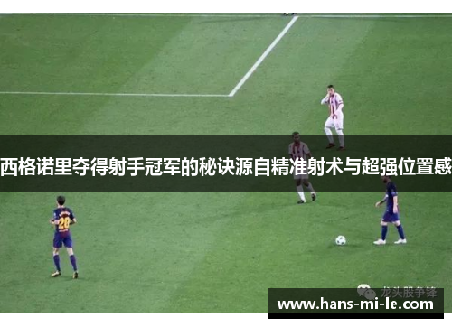 西格诺里夺得射手冠军的秘诀源自精准射术与超强位置感