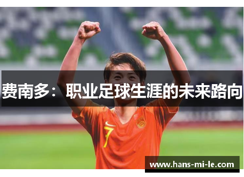 费南多：职业足球生涯的未来路向