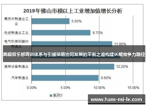 英超俱乐部青训体系与引援策略协同发展的平衡之道构建长期竞争力路径