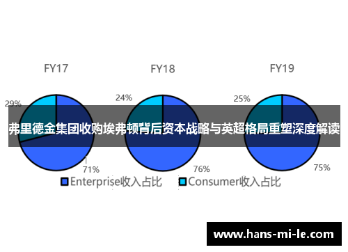 弗里德金集团收购埃弗顿背后资本战略与英超格局重塑深度解读